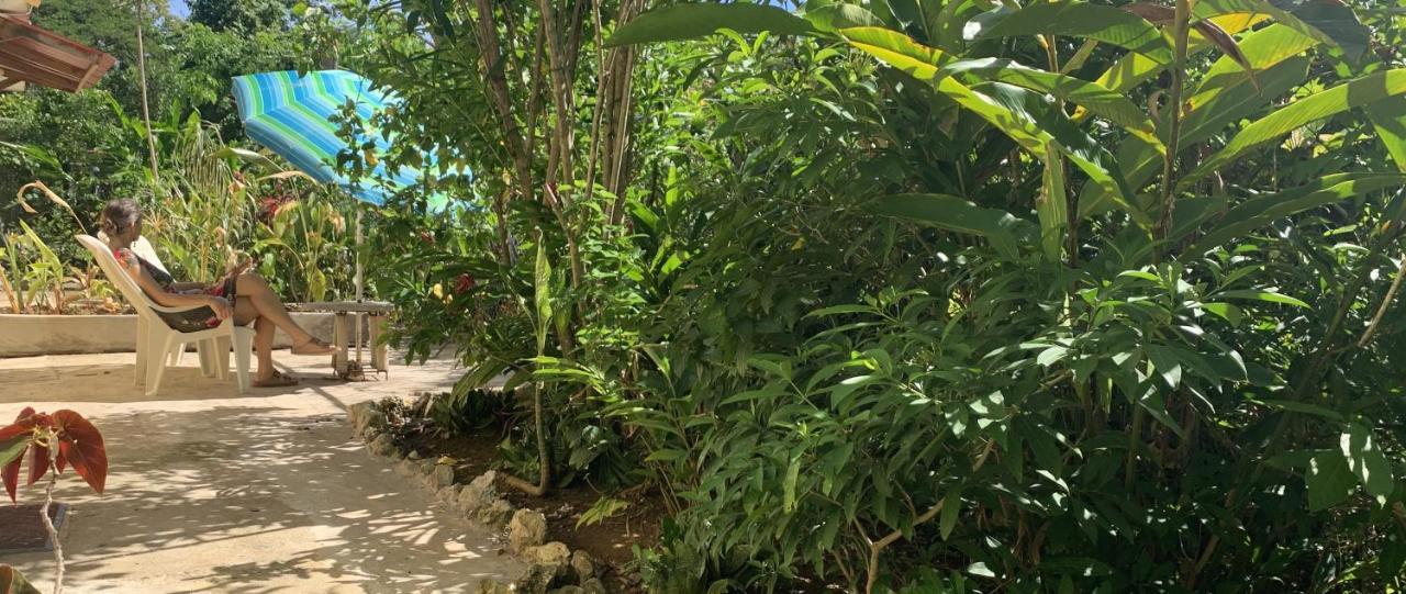 Can Jam Retreat Negril Exterior foto