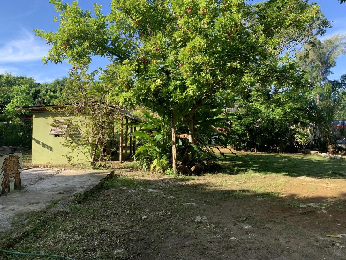 Can Jam Retreat Negril Exterior foto