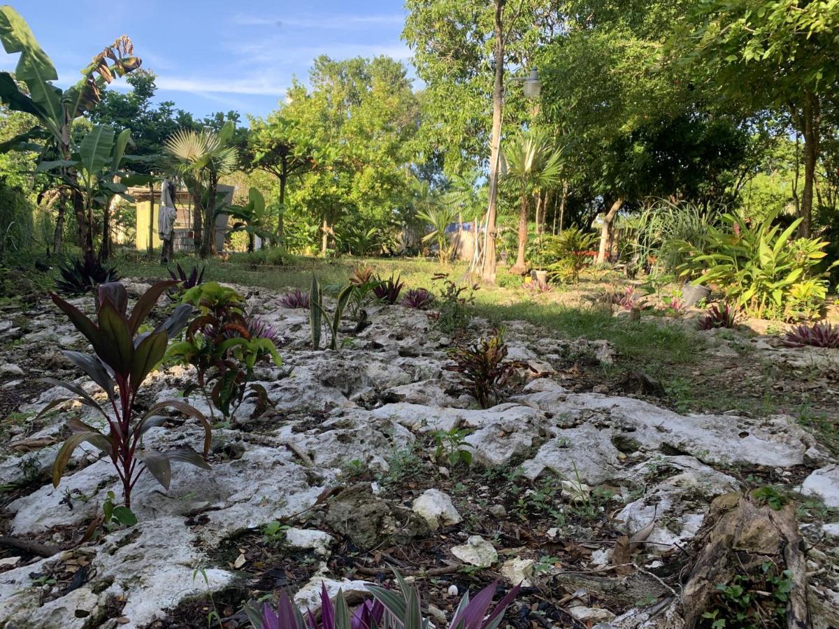 Can Jam Retreat Negril Exterior foto